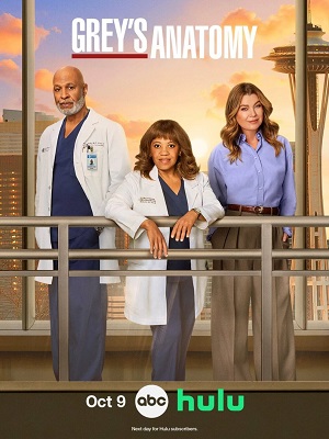 Постер Анатомия страсти Grey s Anatomy